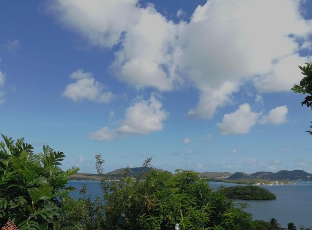 F2 Familial - Vue Imprenable Sur La Baie Du Marin Appartement Le Marin Buitenkant foto
